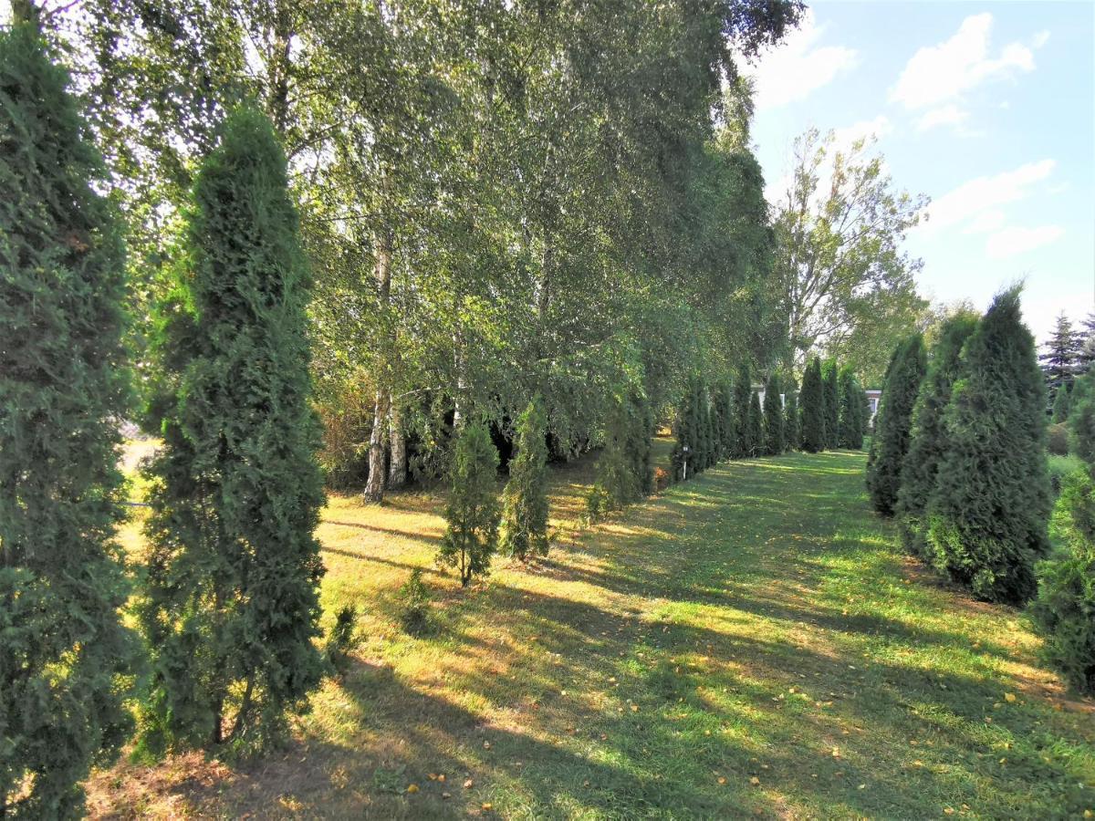 Villa Brzozowe Zacisze à Łagów Extérieur photo